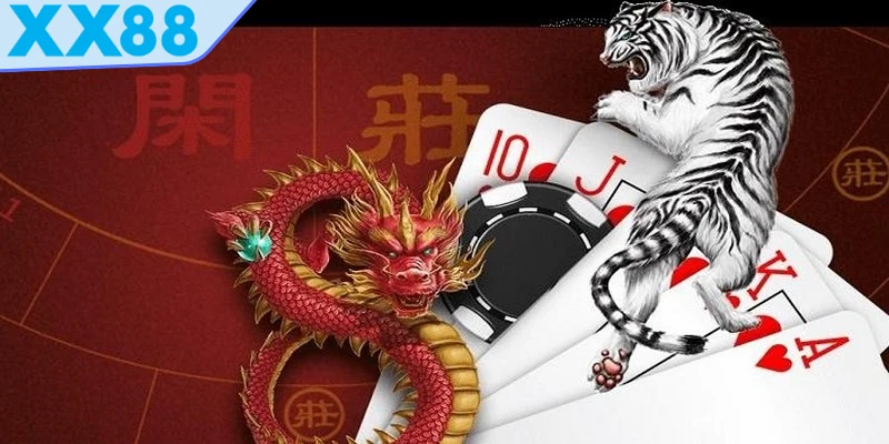 rồng hổ